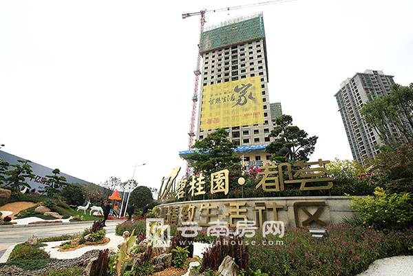 碧桂園 都薈實景圖 碧桂園 都薈實景圖