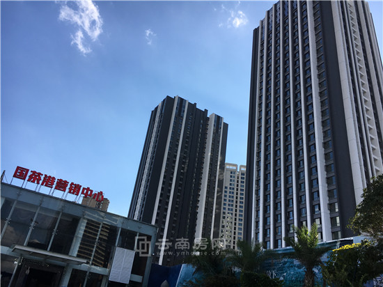 國茶 港實景 國茶 港實景