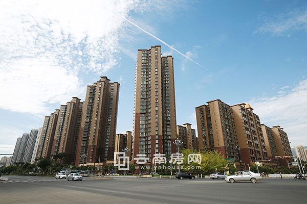 麗水 雅苑實景圖 麗水 雅苑實景圖