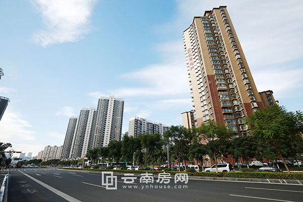 麗水雅 苑周邊道路 麗水雅 苑周邊道路