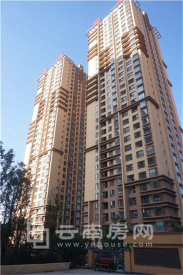 中產花 香四季實景圖 中產花 香四季實景圖