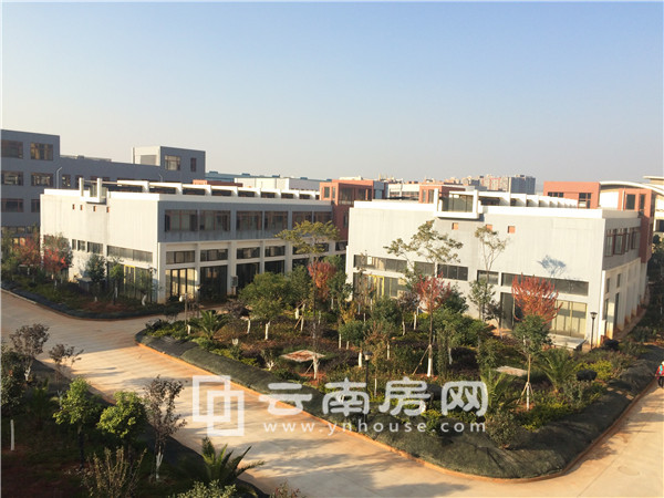 東信 中心城實(shí)景 東信 中心城實(shí)景