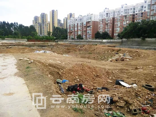 江東 境界地塊實景圖 江東 境界地塊實景圖