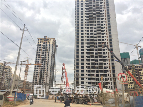 匯和 紫薇園實景 匯和 紫薇園實景