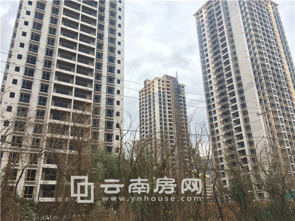 匯和 紫薇園實(shí)景 匯和 紫薇園實(shí)景