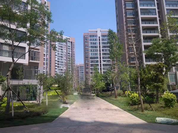 海運(yùn) 花園 海運(yùn) 花園