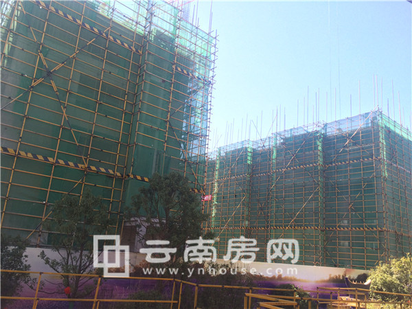 碧桂園 紫臺實景 碧桂園 紫臺實景