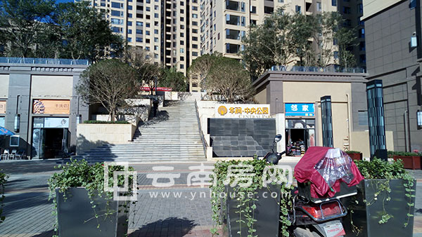 華 潤中 央公 園實景圖 華 潤中 央公 園實景圖