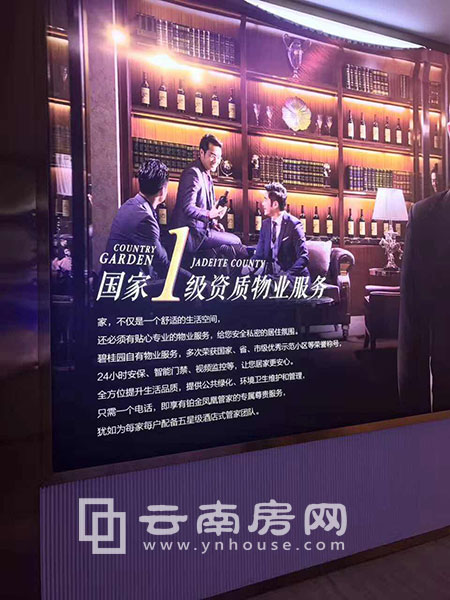 碧桂園都薈物管簡介 碧桂園都薈物管簡介