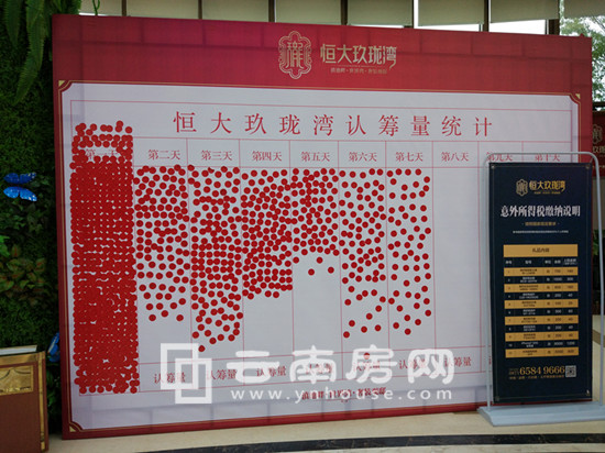 每天認籌量統計表 每天認籌量統計表