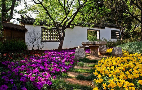 黑龍潭公園里四季鮮花不斷 黑龍潭公園里四季鮮花不斷