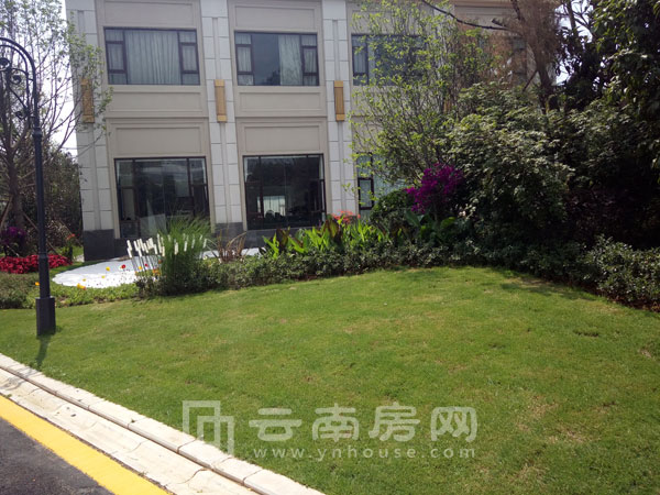 中望城實景圖 中望城實景圖