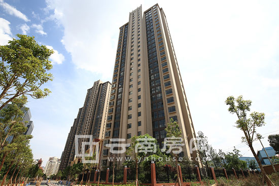 園城社區(qū)實(shí)景 園城社區(qū)實(shí)景