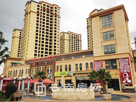 曾經在市場上活躍度很高的領秀知識城 曾經在市場上活躍度很高的領秀知識城