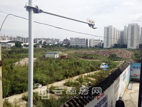 星光大道實景圖 星光大道實景圖