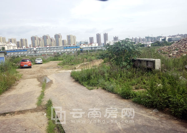 星光大道實景圖 星光大道實景圖