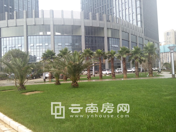 雙城際商務中心實景圖 雙城際商務中心實景圖