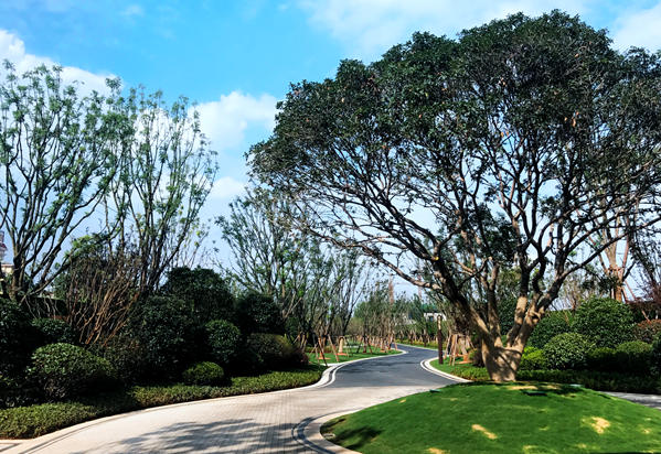 萬科翡翠樣板園區 萬科翡翠樣板園區