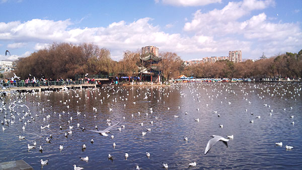 翠湖景觀(網(wǎng)絡(luò)圖片) 翠湖景觀(網(wǎng)絡(luò)圖片)