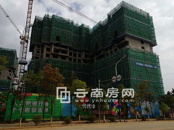 林肯公園實景 林肯公園實景