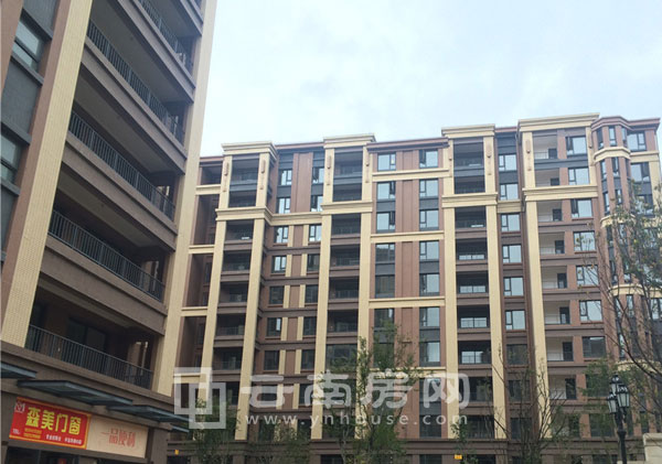 中海半島華府實景圖 中海半島華府實景圖