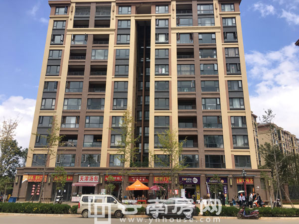 中海半島華府底商實(shí)景圖 中海半島華府底商實(shí)景圖