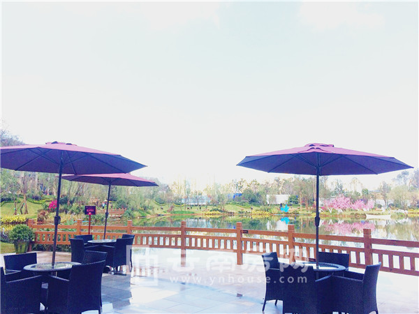 柳溪湖畔 柳溪湖畔