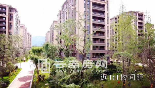 中海半島華府實景圖 中海半島華府實景圖