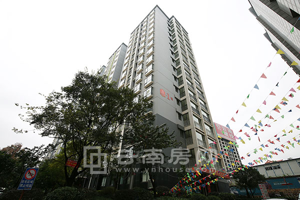 金馬騰苑實(shí)景 金馬騰苑實(shí)景