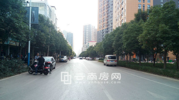 金尚俊園周邊實景 金尚俊園周邊實景