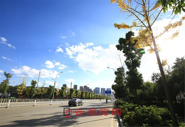 潤城第五大道附近交通實景圖 潤城第五大道附近交通實景圖