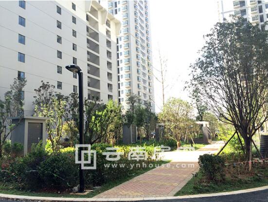 盛惠園小區(qū)實景 盛惠園小區(qū)實景