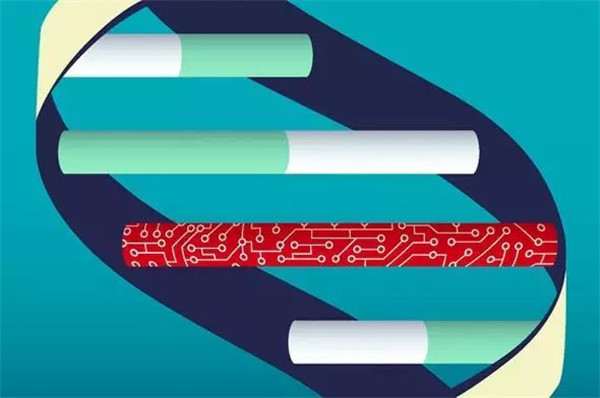 高中生把數據編入體內,1 公斤 DNA 未來可儲存全球數據 高中生把數據編入體內,1 公斤 DNA 未來可儲存全球數據