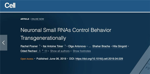 文章地址 文章地址
