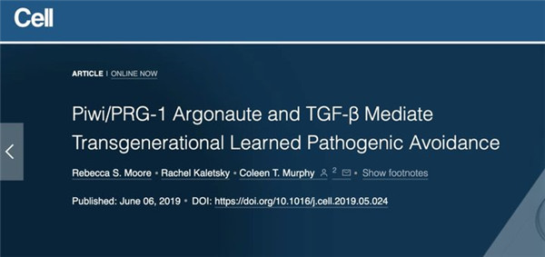 文章地址 文章地址