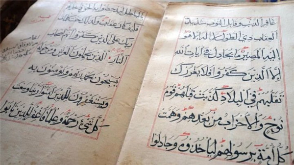 高中生把數據編入體內,1 公斤 DNA 未來可儲存全球數據 高中生把數據編入體內,1 公斤 DNA 未來可儲存全球數據