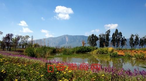 星海半島濕地實景 星海半島濕地實景