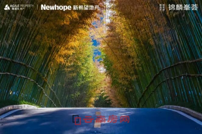 雅居樂新希望·錦麟峯薈清幽爛漫的竹林漫道 雅居樂新希望·錦麟峯薈清幽爛漫的竹林漫道