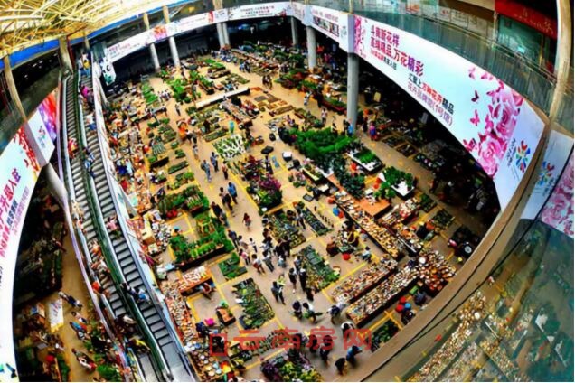 三臺(tái)山項(xiàng)目將打造極具鮮花特色的休閑區(qū) 三臺(tái)山項(xiàng)目將打造極具鮮花特色的休閑區(qū)