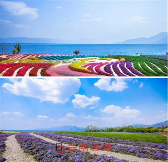 新晉網(wǎng)紅打卡地廣龍撫海灣濕地公園 新晉網(wǎng)紅打卡地廣龍撫海灣濕地公園