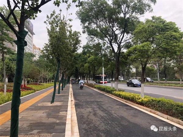 昆明62條道路8月內完成整治!最新“進度條”來了 昆明62條道路8月內完成整治!最新“進度條”來了