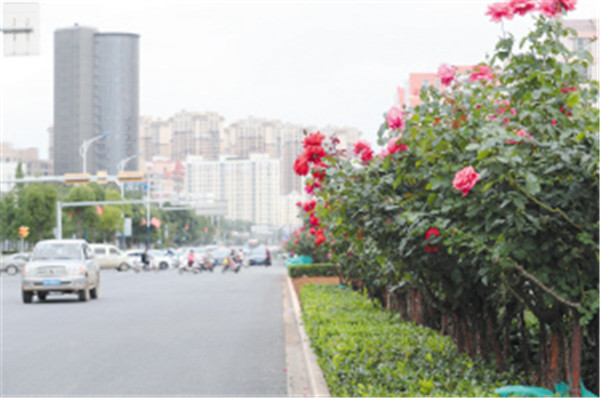 昆明主城西南片區再添7條特色大道 昆明主城西南片區再添7條特色大道
