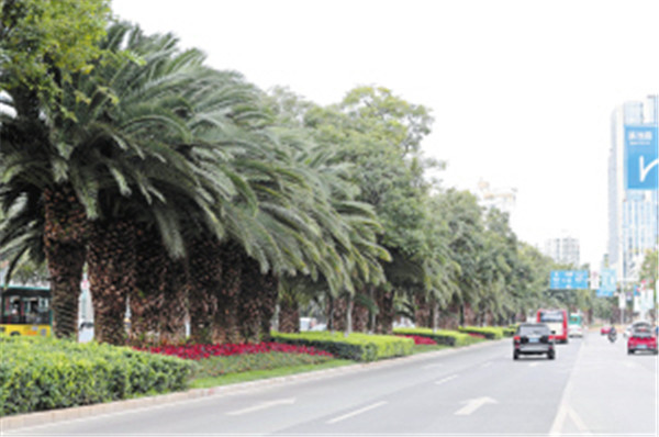 昆明主城西南片區再添7條特色大道 昆明主城西南片區再添7條特色大道