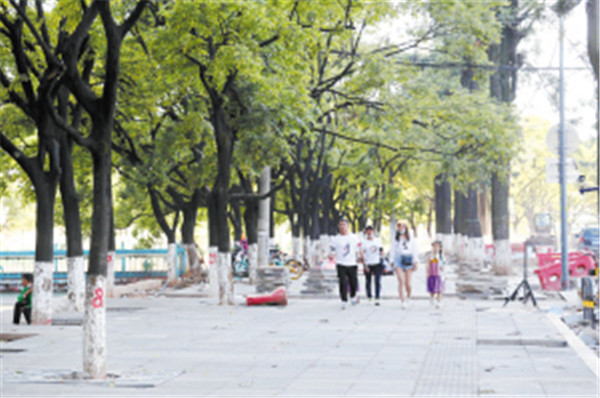 昆明主城西南片區再添7條特色大道 昆明主城西南片區再添7條特色大道