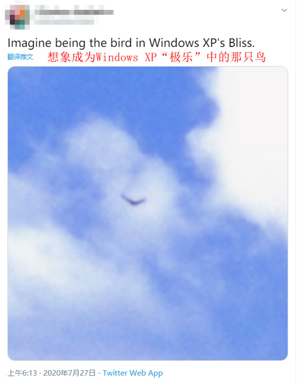 那張 Windows XP 默認壁紙,直到今天都還有新故事發生 那張 Windows XP 默認壁紙,直到今天都還有新故事發生