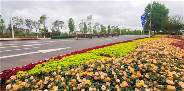 路暢景美 畫中穿行!昆明道路改造工程基本完工 路暢景美 畫中穿行!昆明道路改造工程基本完工