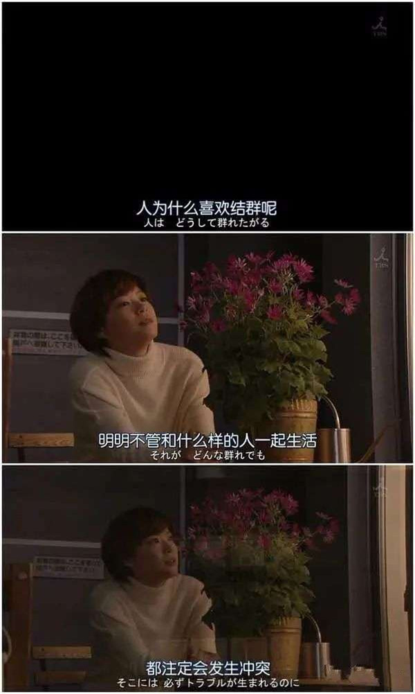 中國(guó)7700萬(wàn)獨(dú)居青年,哪座城市最多? 中國(guó)7700萬(wàn)獨(dú)居青年,哪座城市最多?