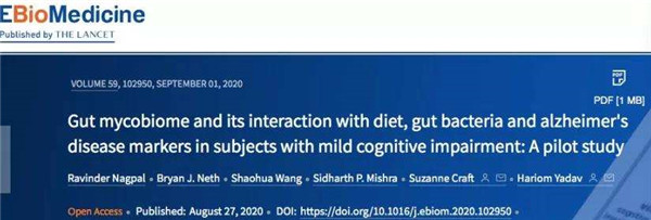 愛熬夜通宵、嗜糖嗜咸的我們,離阿爾茨海默病有多遠? 愛熬夜通宵、嗜糖嗜咸的我們,離阿爾茨海默病有多遠?