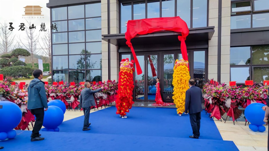 舞獅現場 舞獅現場