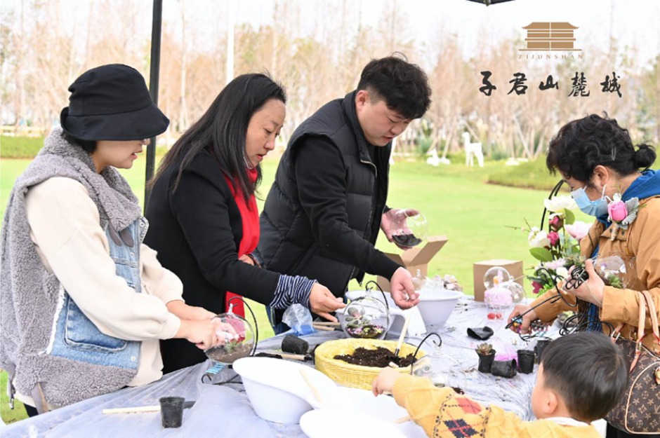 草坪活動 草坪活動